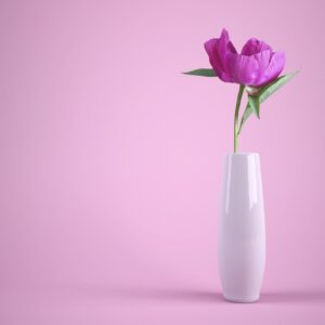 White Vase
