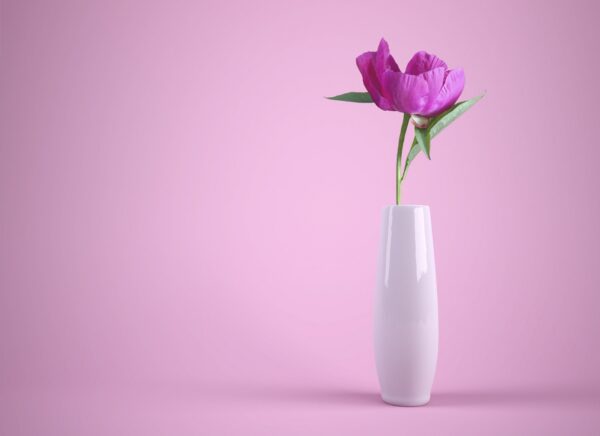 White Vase
